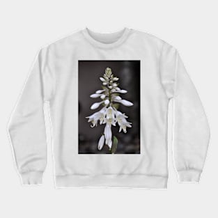 White bell Crewneck Sweatshirt